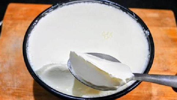 Stop Eating Cold Curd Straight from the Fridge Here s Why Stop Eating Cold Curd Straight from the Fridge Here s Why