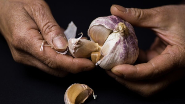 Is it good to eat garlic on an empty stomach Find out who needs to be careful