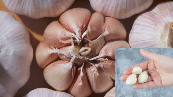Is it good to eat garlic on an empty stomach Find out who needs to be careful