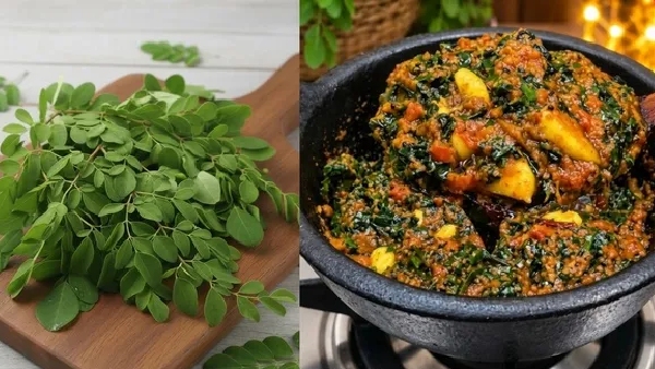 munagaku thokku recipe in telugu how to make iron vitamins packed moringa thokku munagaku thokku recipe in telugu how to make iron vitamins packed moringa thokku