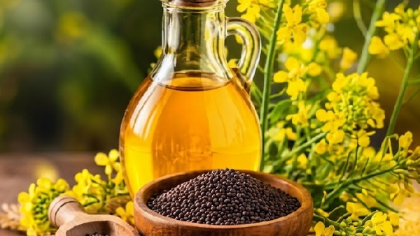 Is Mustard Oil Safe for Cooking The Truth Behind the FDA Ban in America Is Mustard Oil Safe for Cooking The Truth Behind the FDA Ban in America