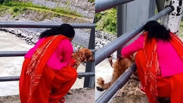 Woman Throws Live Dog into a Raging River in Nepal Viral Video
