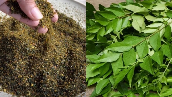 Karivepaku Karam Podi Recipe in Telugu How to Make Power Packed Curry Leaves Podi at Home Karivepaku Karam Podi Recipe in Telugu How to Make Power Packed Curry Leaves Podi at Home