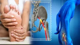 Ram Navami 2026: Ram Lalla Surya Tilak Full Video