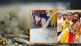 Narmada River 11,000 Litre Milk Scary After Effect,Viral Video Reveals Truth