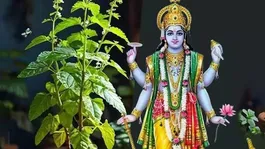 Mohini Ekadashi 2026 Remedy: Do This One Tulsi Ritual to Overcome Financial Problems