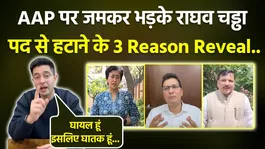 Raghav Chadha Removed from App: 3 Reasons Revealed, Reaction to Allegations...