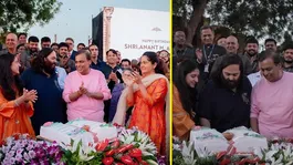 Vantara University Launch on Anant Ambani's 31st Birthday:What is the Admission Process,Fees,Courses