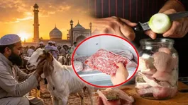 Bakra Eid 2026: How to Store Bakra Eid Meat for the Long Term,Storing Meat Long-Term,Fresh..
