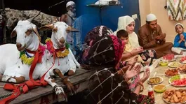 Arafah Roza 2026 Date: How Many Fasts Before Bakra Eid? Virtues of Yawm-e-Arafah