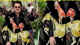 Met Gala 2026: Anil Kapoor's Majnu Bhai Painting Outfit Look Fact Check,Public Funny Reaction