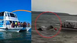 Jabalpur Cruise Accident: Why Life Jackets Failed at Bargi Dam? The One Mistake That Cost Lives!