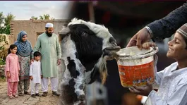 Eid Ul Adha 2026: Who Must Perform Qurbani and Who Is Exempt? | How Much Wealth Makes Qurbani Wajib?