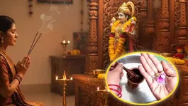 Apara Ekadashi 2026: What to Do and What Not to Do on Apara Ekadashi |