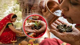 Vat Savitri Vrat Parana Time 2026: Vat Savitri Vrat Parana Samay,Nirjala - Falahar Vrati Kya Khakar Khole ?