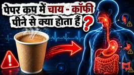 Paper Cup Side Effects: Paper Cup me Chai Ya Coffee Pine Ke Nuksan,Cancer Ho sakta hai kya ?