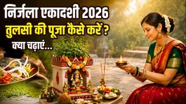 Nirjala Ekadashi Tulsi Puja Rituals 2026:How and when to perform Tulsi Puja on Nirjala Ekadashi