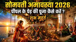 Somvati Amavasya Puja Rituals 2026: How to worship the Peepal tree on Somvati Amavasya..