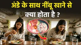 Side Effects of Eggs with Lemon: What Happens When You Eat Eggs with Lemon? |