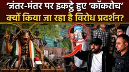 'Cockroach Janta Party' protest at Jantar Mantar, what is the real reason behind the demonstration