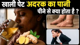 Empty Stomach Ginger Water Benefits: Khali Pet Adrak Ka Pani Peene Se Kya Hota Hai ?