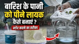 Rain Water Storage Techniques At Home: Ghar Me Barish Ke Pani Ko Pine Layak Kaise Banaye?