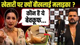 Why did Malaika Arora get angry at Khesari Lal Yadav? Who is this fool?