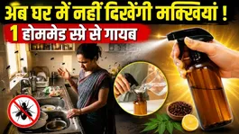 Ghar Se Makkhi Kaise Bhagaye: Homemade Spray Kaise Bana Sakte Hai ?