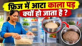 Why Does Atta Dough Turn Black in the Fridge? Know the Reason &amp; How to Keep It Fresh