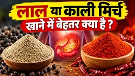 Lal Vs Kali Mirch: Lal Aur Kali Mirch Me Antar,Khane Se Kya lena Chahiye ?