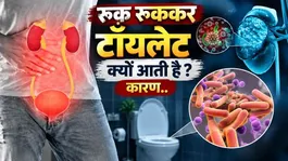 Urinary System Flow: Why is urine flow intermittent? What is the reason?