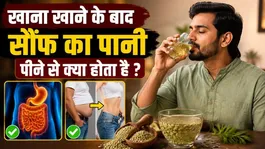 What Happens If You Drink Fennel Water After a Meal? Fennel Water Benefits
