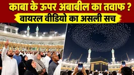 Kaaba Birds Viral Video: Are Ababeel Birds Really Performing Tawaf? The Real Truth!
