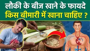 Lauki Seeds Benefits: Lauki Ke Beej Khane Ke Fayde,Kya Hota Hai,Kis Bimari Me Khana Chahiye?