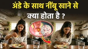 Side Effects of Eggs with Lemon: What Happens When You Eat Eggs with Lemon? |