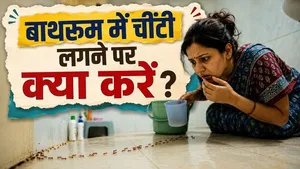 Bathroom Me Chiti Kaise Hataye: Bathroom Me Chiti Aane Par Kya Karna Chahiye ?
