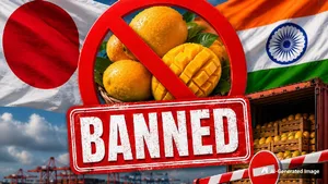 From Alphonso To Langra The Mango Varieties Affected By Japans Import Ban