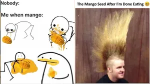Mango Memes 2026 The King Of Fruits In India Is Basically Chaos Cravings Sticky Fingers Family Drama