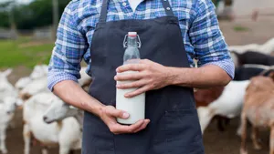 Heatwave Alert Is India S Milk Supply Chain Safe In 45 C Temperatures
