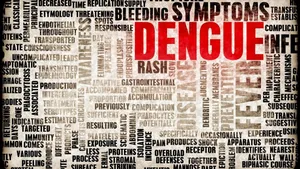 Indias Dengue Season Is Getting Longer And Kids Are Most At Risk