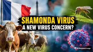 France Reports First Human Case Of Shamonda Virus After Man In His 60s Dies Could It Affect India